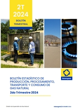 Boletín Estadístico de las actividades de la DSGN
