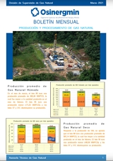 Boletín Mensual de la División de Supervisión de Gas Natural