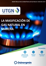 Masificación del Uso del Gas Natural